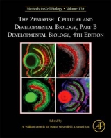 The Zebrafish: Cellular and Developmental Biology, Part B Developmental Biology - Detrich III, H. William; Westerfield, Monte; Zon, Leonard