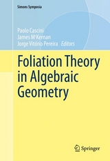 Foliation Theory in Algebraic Geometry - 