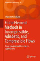 Finite Element Methods in Incompressible, Adiabatic, and Compressible Flows - Mutsuto Kawahara