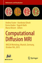 Computational Diffusion MRI - 