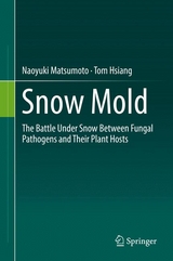 Snow Mold - Naoyuki Matsumoto, Tom Hsiang