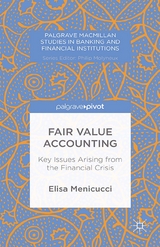 Fair Value Accounting - E. Menicucci