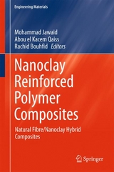 Nanoclay Reinforced Polymer Composites - 