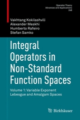 Integral Operators in Non-Standard Function Spaces - Vakhtang Kokilashvili, Alexander Meskhi, Humberto Rafeiro, Stefan Samko