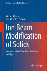 Ion Beam Modification of Solids - 