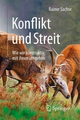 Konflikt und Streit - Rainer Sachse