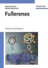 Fullerenes - Andreas Hirsch, Michael Brettreich