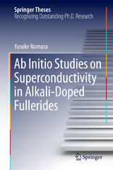 Ab Initio Studies on Superconductivity in Alkali-Doped Fullerides - Yusuke Nomura