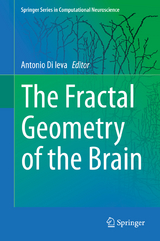 The Fractal Geometry of the Brain - 