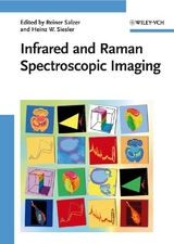 Infrared and Raman Spectroscopic Imaging - 