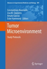 Tumor Microenvironment - 