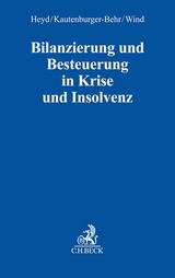 Bilanzierung und Besteuerung in Krise und Insolvenz - 