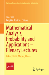 Mathematical Analysis, Probability and Applications – Plenary Lectures - 