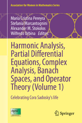 Harmonic Analysis, Partial Differential Equations, Complex Analysis, Banach Spaces, and Operator Theory (Volume 1) - 