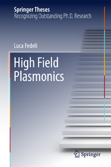 High Field Plasmonics - Luca Fedeli