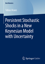 Persistent Stochastic Shocks in a New Keynesian Model with Uncertainty - Tobias Kranz