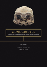 Homo erectus - 