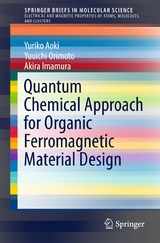 Quantum Chemical Approach for Organic Ferromagnetic Material Design - Yuriko Aoki, Yuuichi Orimoto, Akira Imamura