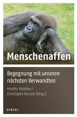 Menschenaffen - 