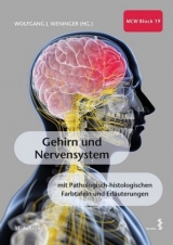 Gehirn und Nervensystem - Wolfgang J. Weninger