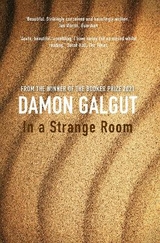 In a Strange Room - Galgut, Damon