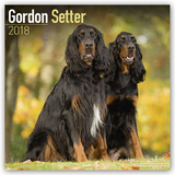 Gordon Setter Calendar 2018 - Avonside Publishing Ltd