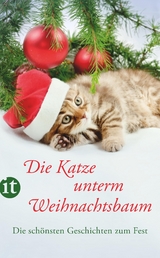 Die Katze unterm Weihnachtsbaum - 