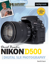 David Busch’s Nikon D500 Guide to Digital SLR Photography - David D. Busch