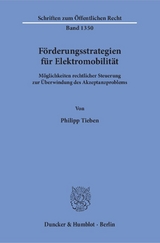 Förderungsstrategien für Elektromobilität. - Philipp Tieben