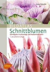 Schnittblumen - Peter Fleischli