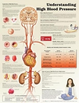 Understanding High Blood Pressure - Anatomical Chart Company; Moodie, Douglas S.