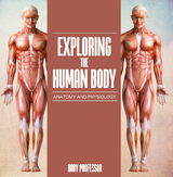 Exploring the Human Body | Anatomy and Physiology - Baby Professor