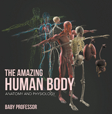 Amazing Human Body | Anatomy and Physiology -  Baby Professor