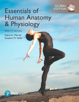 Essentials of Human Anatomy & Physiology, Global Edition - Marieb, Elaine; Keller, Suzanne