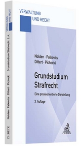 Grundstudium Strafrecht - Waltraud Nolden, Frank Palkovits, Susanne Dittert, Frank Pichocki