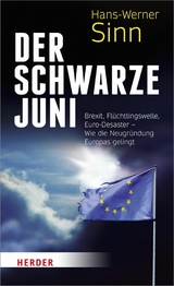 Der Schwarze Juni - Hans-Werner Sinn