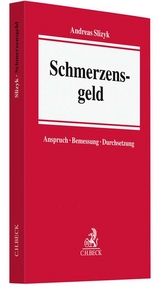 Schmerzensgeld - Andreas Slizyk