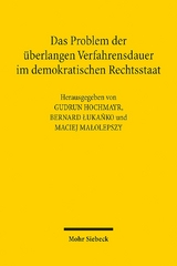 Das Problem der überlangen Verfahrensdauer im demokratischen Rechtsstaat - 