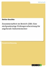 Zusammenarbeit im Betrieb (ZiB). Eine stichpunktartige Prüfungsvorbereitung für angehende Industriemeister - Stefan Geschke