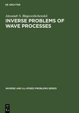 Inverse Problems of Wave Processes - A. S. Blagoveshchenskii