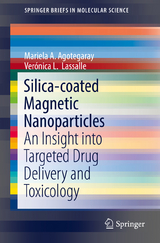 Silica-coated Magnetic Nanoparticles - Mariela A. Agotegaray, Verónica L. Lassalle