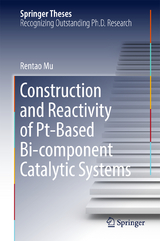 Construction and Reactivity of Pt-Based Bi-component Catalytic Systems - Rentao Mu