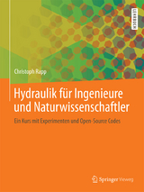 Hydraulik für Ingenieure und Naturwissenschaftler - Christoph Rapp