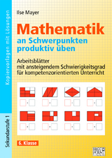 Mathematik an Schwerpunkten produktiv üben - 6. Klasse - Ilse Mayer