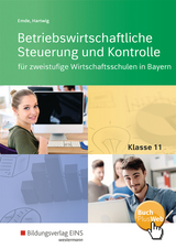 Betriebswirtschaftliche Steuerung und Kontrolle für zweistufige Wirtschaftsschulen in Bayern - Mathias Emde, Herbert Hartwig