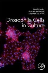 Drosophila Cells in Culture - Echalier, Guy; Perrimon, Norbert; Mohr, Stephanie E