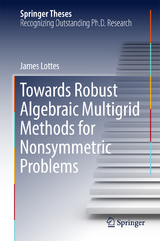 Towards Robust Algebraic Multigrid Methods for Nonsymmetric Problems - James Lottes