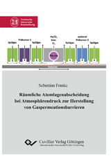 Räumliche Atomlagenabscheidung bei Atmosphärendruck zur Herstellung von Gaspermeationsbarrieren - Sebastian Franke