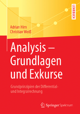 Analysis – Grundlagen und Exkurse - Adrian Hirn, Christian Weiß