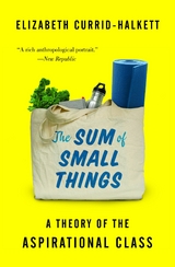 Sum of Small Things -  Elizabeth Currid-Halkett